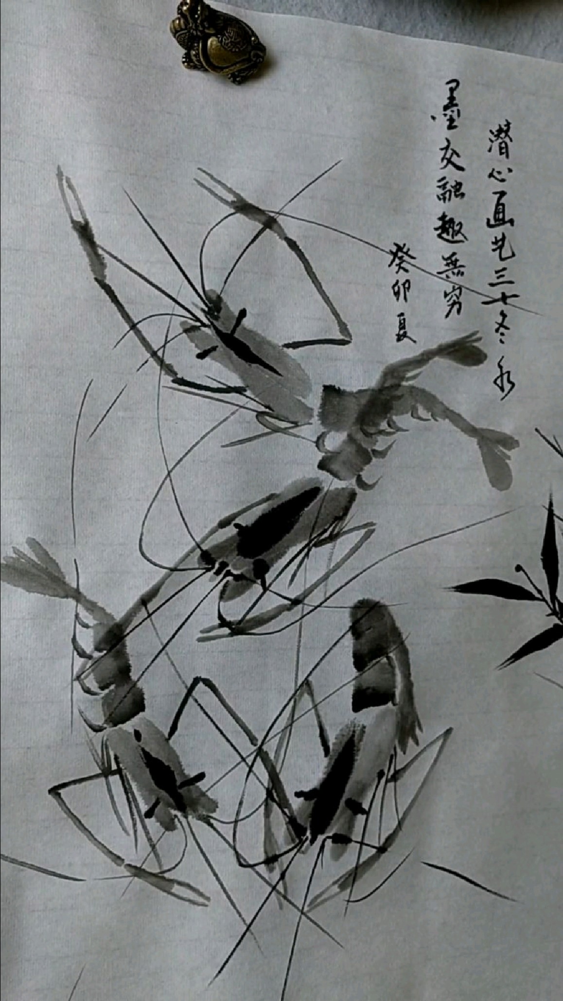 写意虾的画法《二七一》