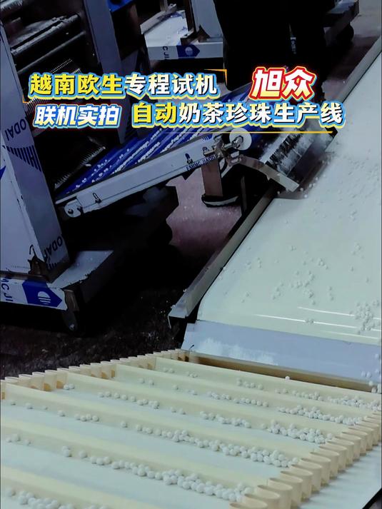 做珍珠粉圆不用愁！旭众无馅汤圆机一小时150kg！规格随定