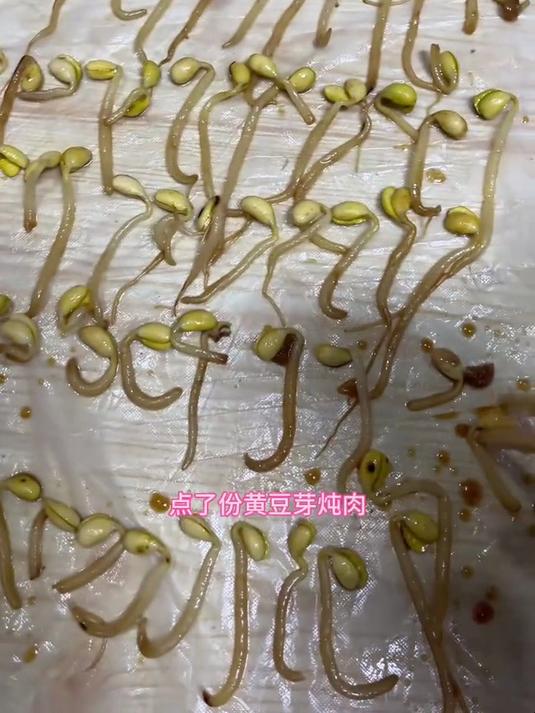 点了份豆芽炖肉，少了那么多