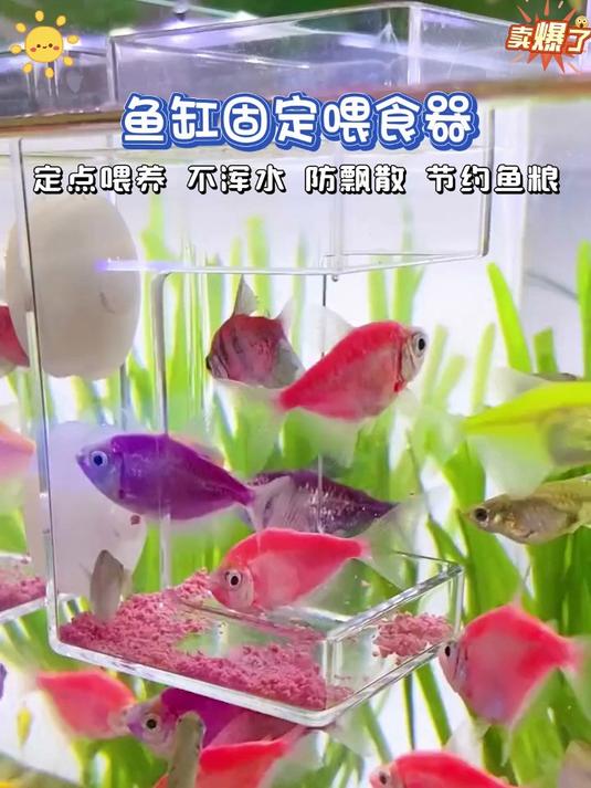 养鱼不知道这个好东西?鱼缸喂食器,定时定量出食,鱼儿超喜欢!