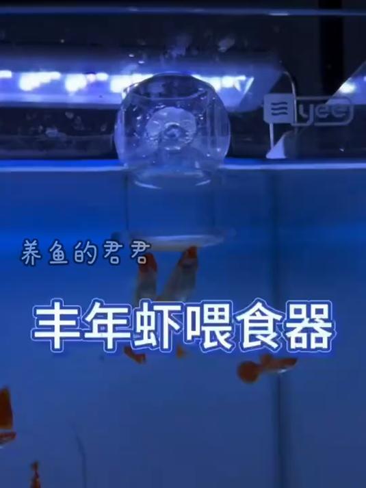 丰年虾喂食器投喂丰年虾不混水啦!这个神器太好用了!