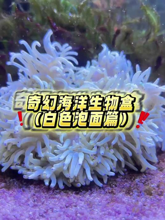 开到什么养什么!这咋还有白色方便面!