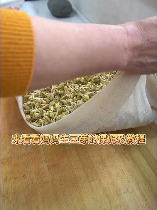 生豆芽 来看看妈妈怎么在家自己生豆芽