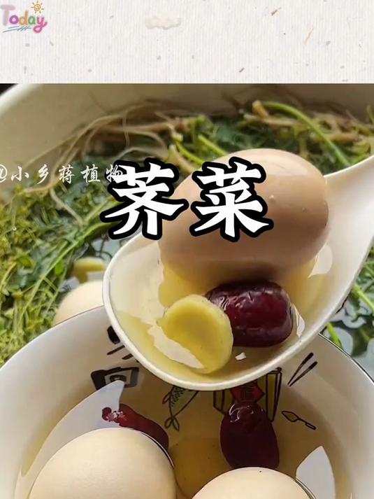 荠菜鸡蛋,开花带籽带根,越老越好,春天一定不要错过