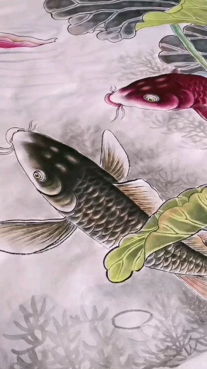 齐白石传人武天庆工笔荷花鱼作品欣赏