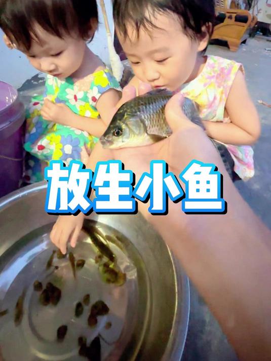 爸爸抓了好几条小鱼小虾!它们好可怜!让我们一起去放生吧