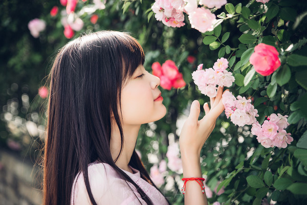 图片[2]-Blooming rose-六色网