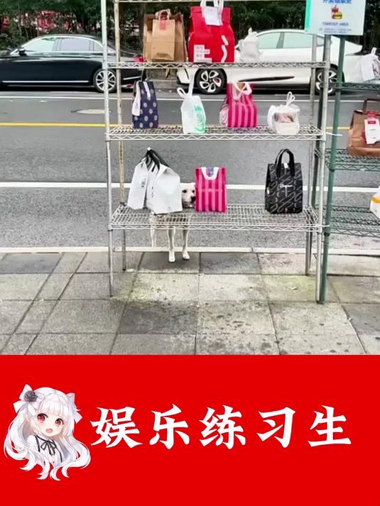 秋天的第一杯奶茶