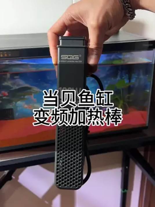 当贝鱼缸加热棒,变频省电超实用!没买的快冲
