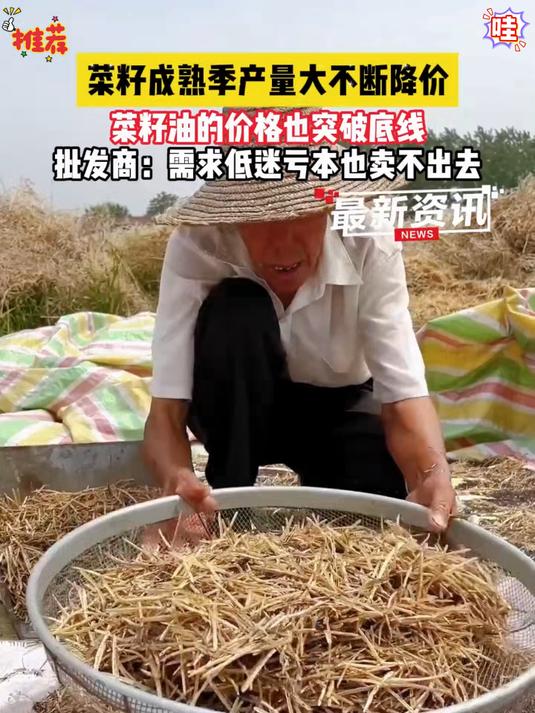 大家平常喜欢吃什么油我们喜欢吃纯的菜籽油