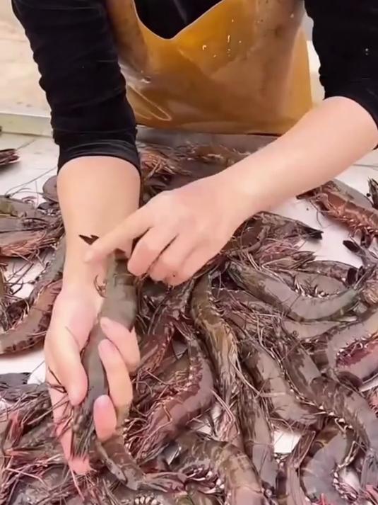 谁能拒绝这口鲜！现捕黑虎虾，肉质紧实咬一口超满足～