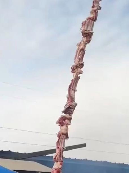 长这么大,第一次看到“上天”的烤肉串,网友:去新疆旅游的心到达极致