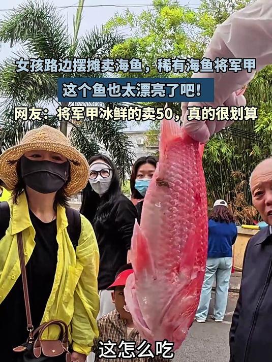 女孩路边摆摊稀有海鱼将军甲,这个鱼也太漂亮了吧!