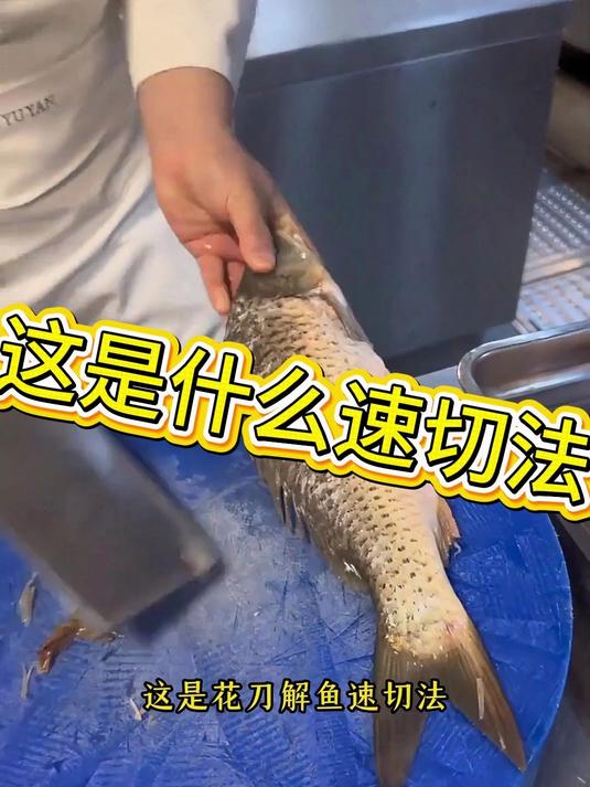花刀解鱼速切法
