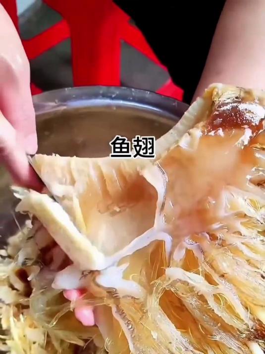 我还是第一次见这种新鲜的鱼翅