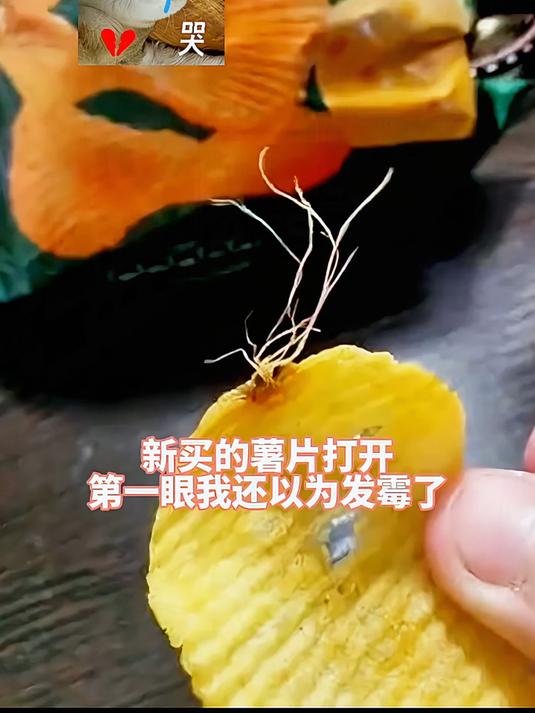 工业薯片发芽我应该找谁