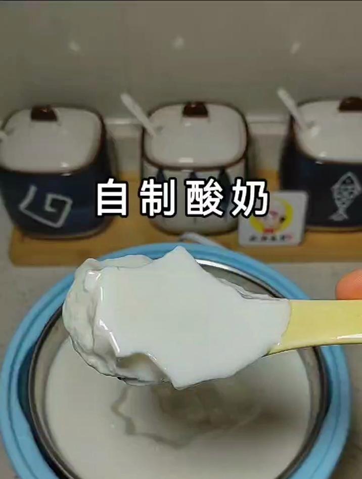 酸奶机做酸奶的制作方法