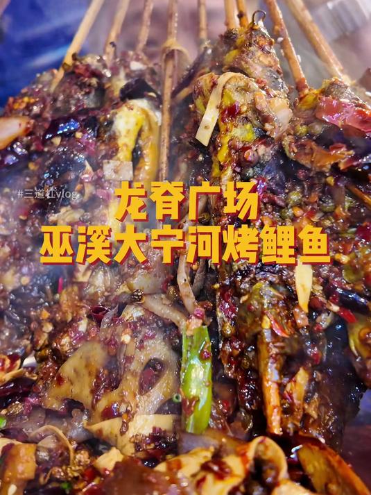 这家能吃到碳烤黄辣丁的巫溪烤鱼值得上烟火榜