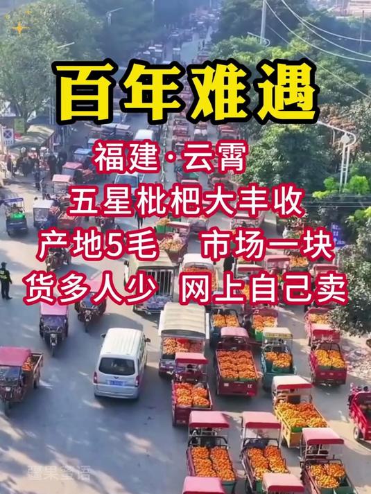 竹盐枇杷干清凉爽口香甜软糯肉厚零食果