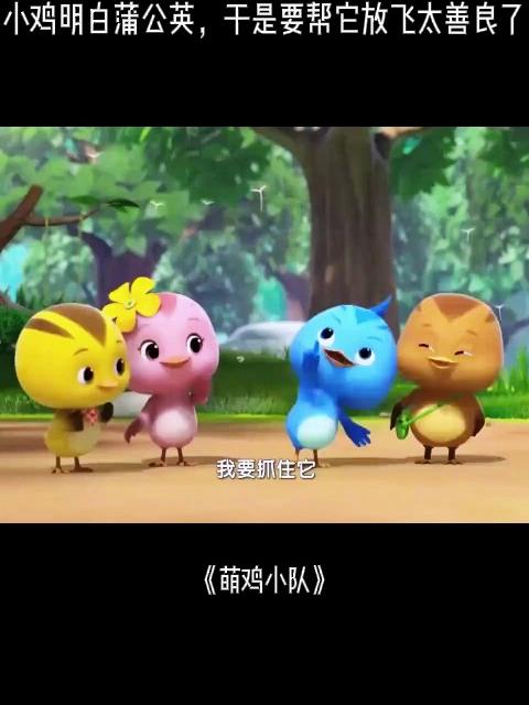 萌鸡小队:小鸡明白蒲公英,于是要帮它放飞,太善良了
