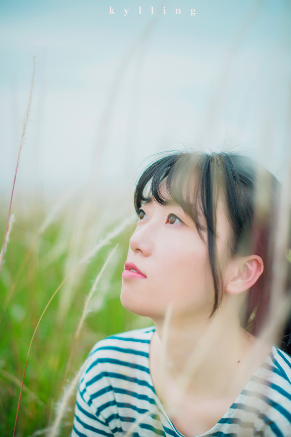 图片[12]-淡淡的初夏-六色网