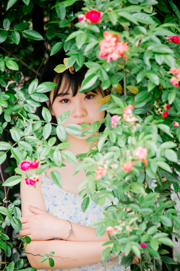图片[4]-花与少女-六色网