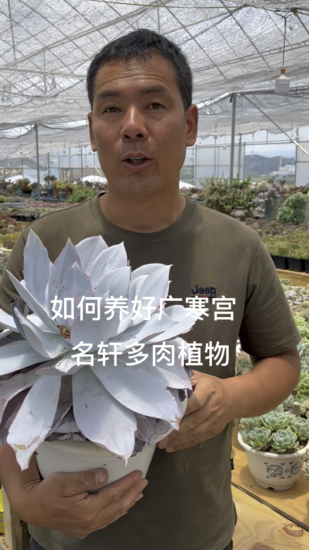 名轩多肉植物,广寒宫泥巴土板结营养贫瘠所以加了蛭石和有机肥让土疏松有肥效