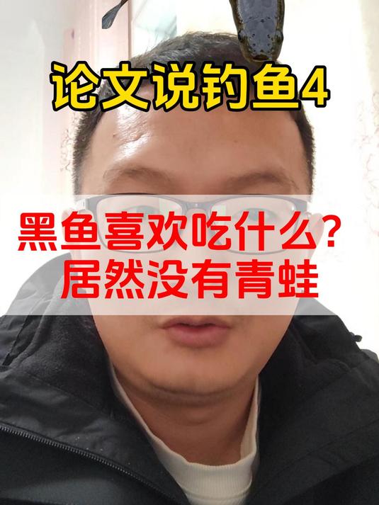 黑鱼喜欢吃什么?居然没有青蛙