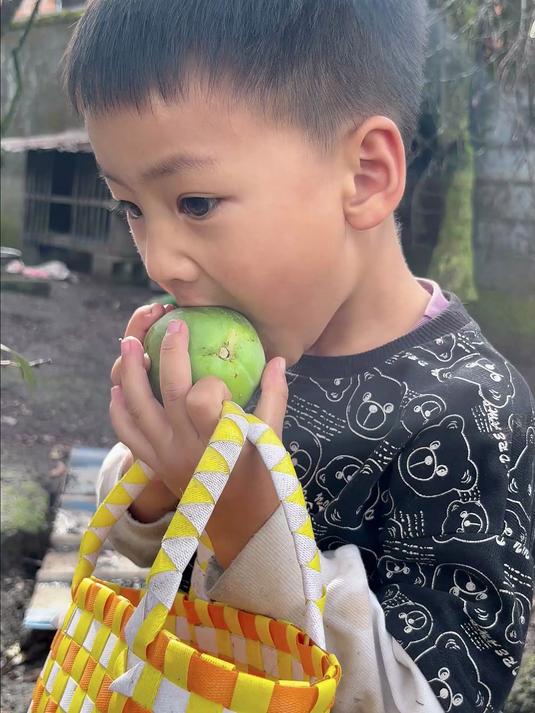 儿子:老母鸡好久没下蛋了去看看