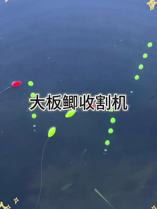 不用调漂,到手即可钓鱼的七星漂线组,搭配7颗大号橄榄漂豆,看清晰抓口更准#钓鱼##户外钓鱼