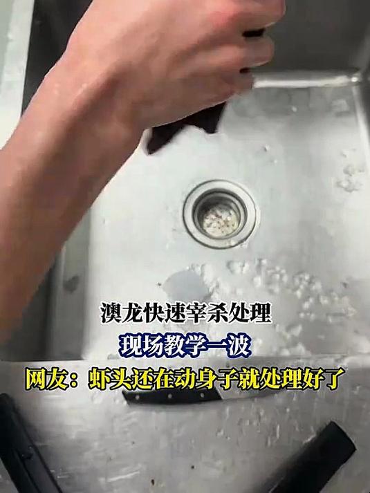 澳龙快速宰杀处理,现场教学一波,网友:虾头还在动就处理好了