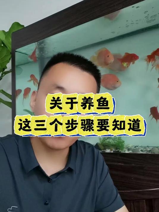 养鱼三步骤