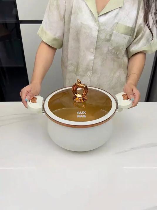 奥克斯微压锅陶瓷珐琅内胆多用途省时炖肉煲汤炖粥平替高压锅