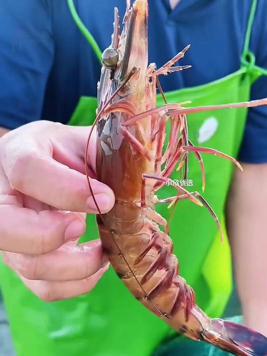 夜宵烧烤摊平替：黑虎虾在家烤出烟火气～