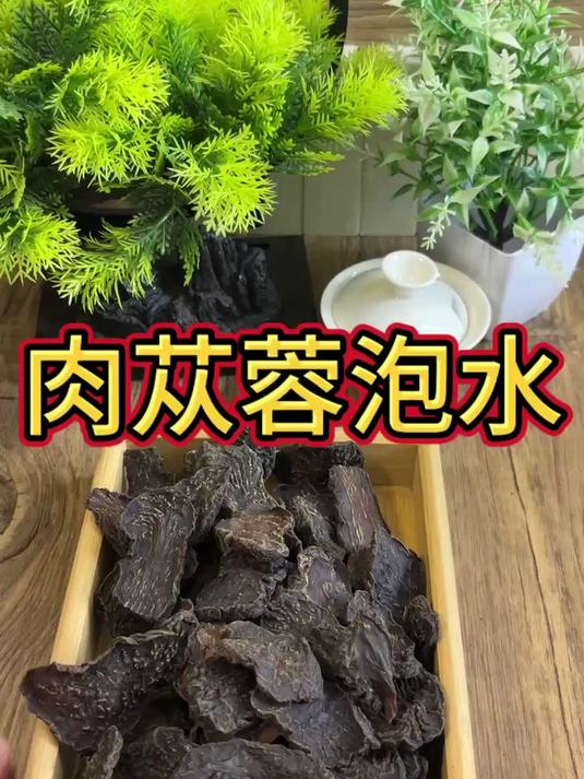 肉苁蓉泡水,你喝过吗