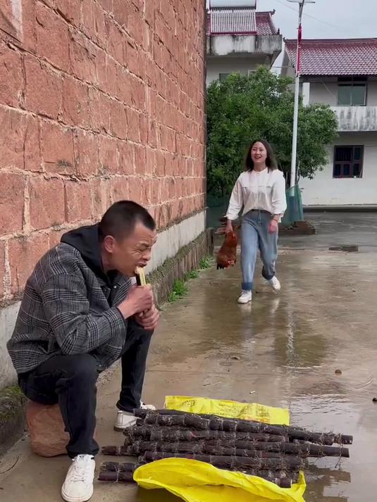 黄鼠狼给鸡拜年!
