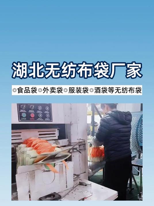 湖北无纺布袋厂家 无纺布袋 手提袋 奶茶袋 外卖袋