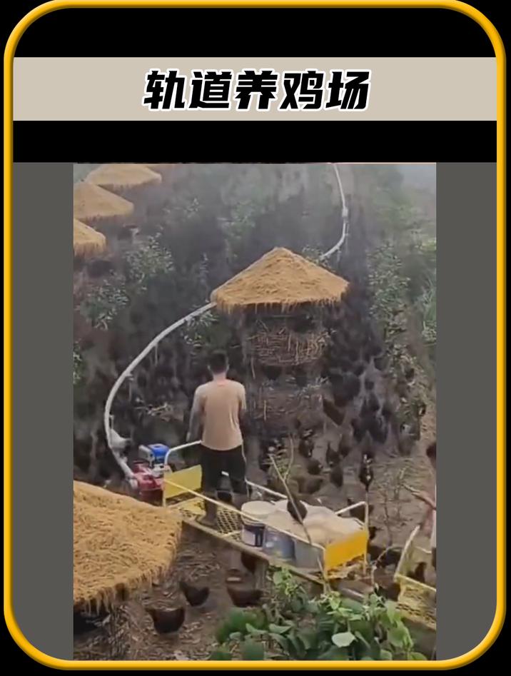 全世界独一无二的轨道养鸡场,每只鸡都住上了豪华单间,值得一看