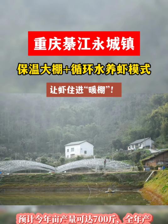 厉害!重庆打造新型养虾模式,年产值达上千万!