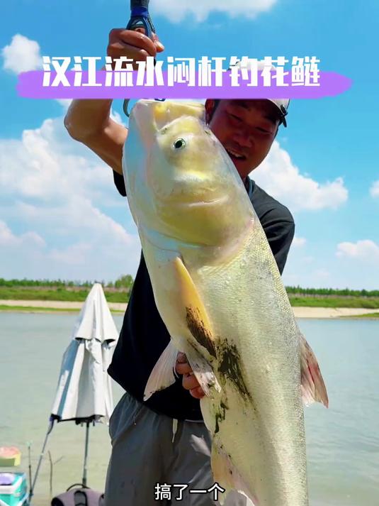 有多少兄弟在流水中用闷杆钓过鲢鳙