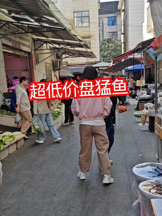 太阳鱼,牛角峰鱼超低价拿下