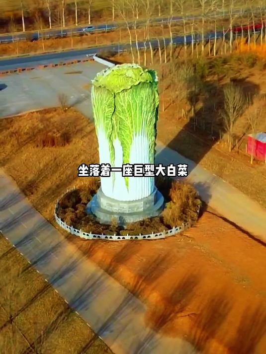如此巨型的大白菜雕塑你见过吗，高20米宽8米重12吨