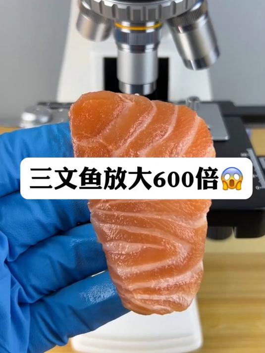 三文鱼也会有寄生虫吗?
