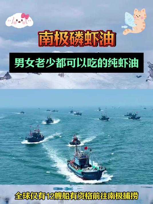 深海馈赠,磷虾油,自然的力量!