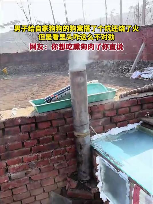 网友:你想吃熏狗肉了你直说