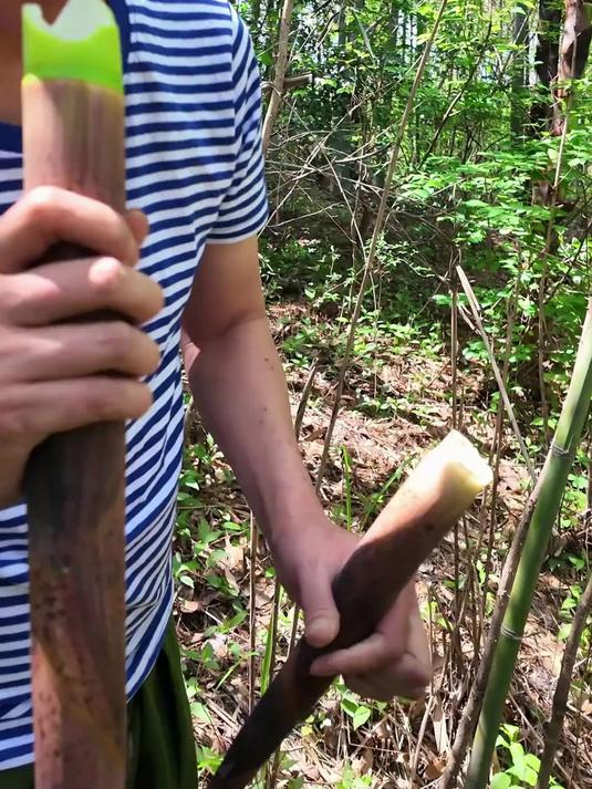 来自大自然的馈赠,这些你们都认识么?人间有味是清欢