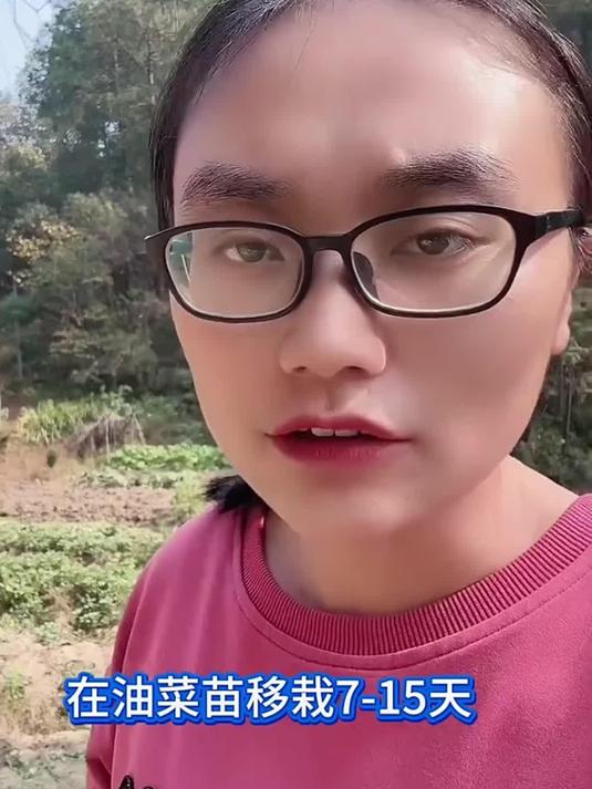油菜病害咋防治?用这几招轻松解决没烦恼