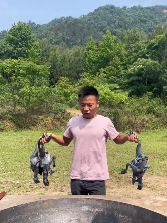 真材实料才能做出好味道，黑母鸡