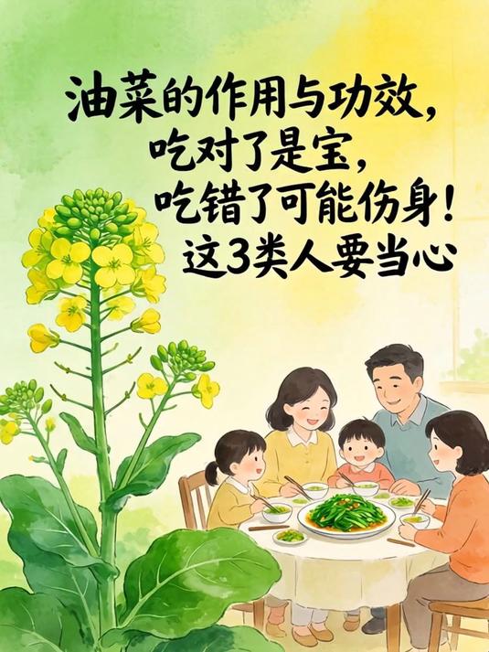 油菜的作用与功效,吃对了是宝,吃错了可能伤身!这3类人要当心