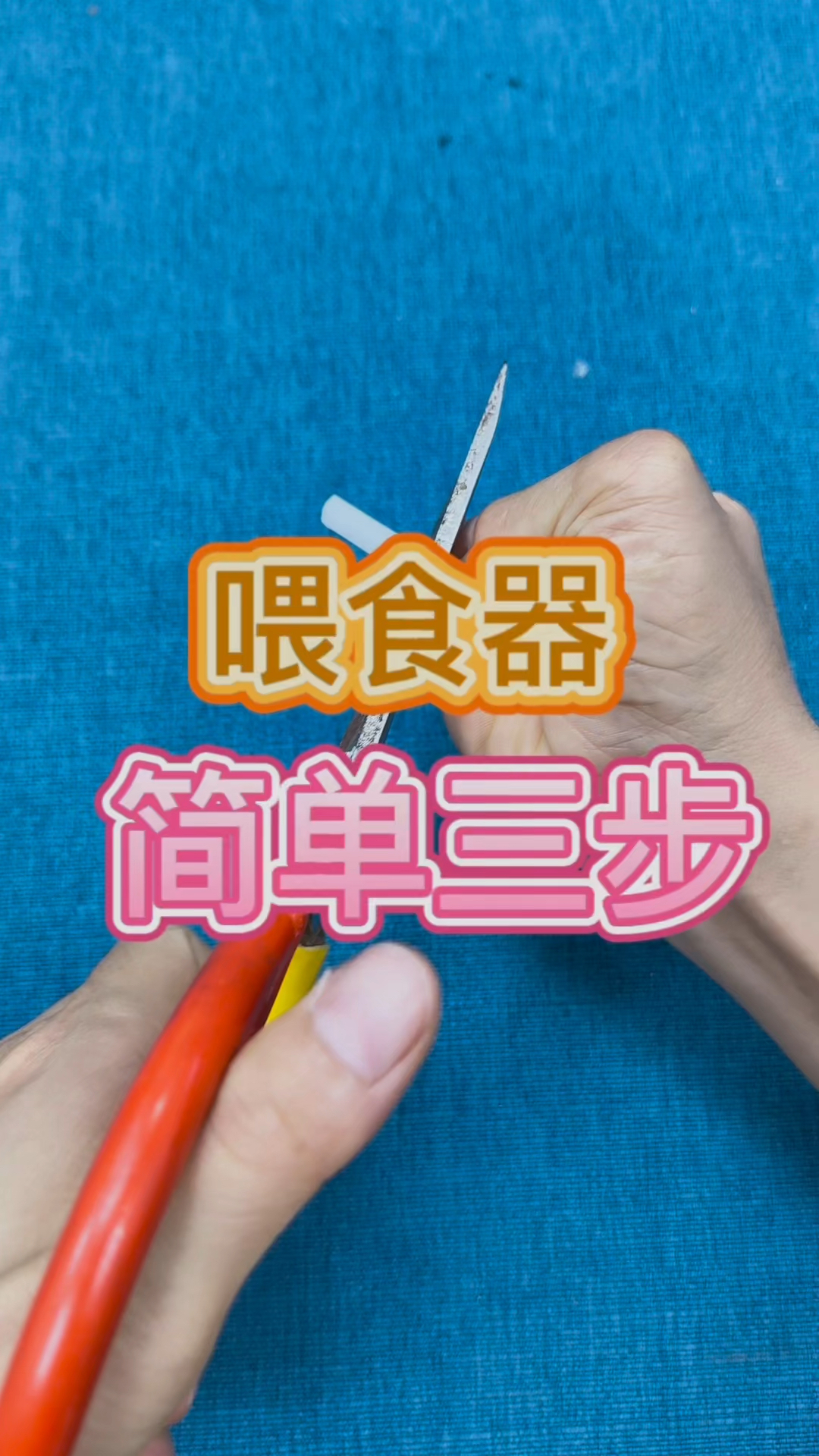 如何手工制作鱼缸喂食器